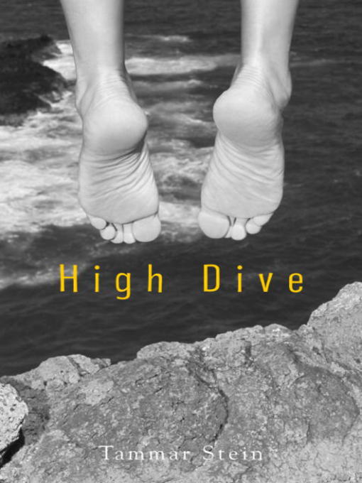 Title details for High Dive by Tammar Stein - Available